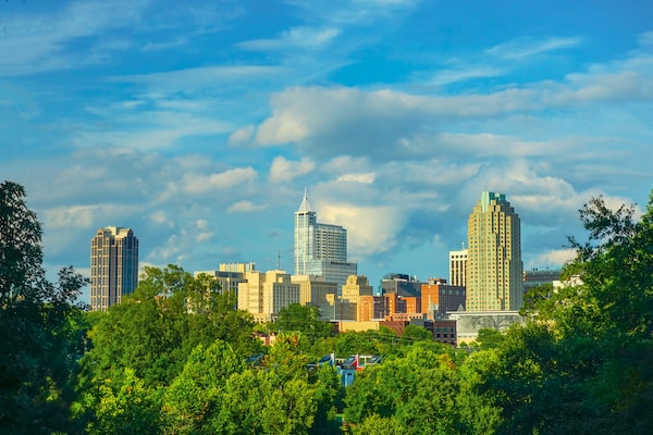 The Raleigh skyline with trees